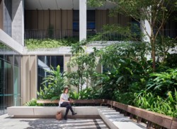 <a href="https://landscapearchitecturebuilt.com/herston-quarter-stars">Herston Quarter STARS</a>, <br>Brisbane, Australia