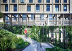<a href="https://landscapearchitecturebuilt.com/herston-quarter-stars">Herston Quarter STARS</a>, <br>Brisbane, Australia