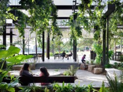 <a href="https://landscapearchitecturebuilt.com/riverside-green">Riverside Green</a>, <br>Brisbane, Australia