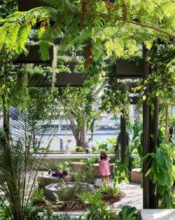 <a href="https://landscapearchitecturebuilt.com/riverside-green">Riverside Green</a>, <br>Brisbane, Australia