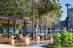 <a href="https://landscapearchitecturebuilt.com/riverside-green">Riverside Green</a>, <br>Brisbane, Australia