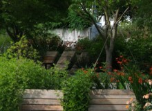 <a href="https://landscapearchitecturebuilt.com/west-bund-riverfront">West Bund Riverfront</a>, <br>Shanghai, China