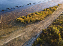 <a href="https://landscapearchitecturebuilt.com/west-pond-living-shoreline">West Pond Living Shoreline</a>, <br>Queens, NY, USA An image of landscape architecture project West Pond Living Shoreline, by design firm Dirtworks Landscape Architecture P.C, in Queens, NY, USA. Showing planting establishment from birds eye view