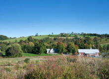 <a href="https://landscapearchitecturebuilt.com/camphill-ghent">Camphill Ghent Elder Care Initiative</a>, <br>Chatham, NY, USA An image of a landscape architecture project in New York state, showing a rural setting with planting in the foreground