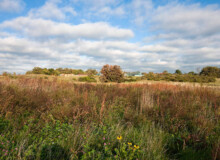 <a href="https://landscapearchitecturebuilt.com/camphill-ghent">Camphill Ghent Elder Care Initiative</a>, <br>Chatham, NY, USA An image of a landscape architecture project in New York state, showing a meadow