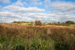 <a href="https://landscapearchitecturebuilt.com/camphill-ghent">Camphill Ghent Elder Care Initiative</a>, <br>Chatham, NY, USA An image of a landscape architecture project in New York state, showing a meadow