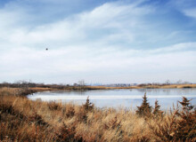 <a href="https://landscapearchitecturebuilt.com/west-pond-living-shoreline">West Pond Living Shoreline</a>, <br>Queens, NY, USA An image of landscape architecture project West Pond Living Shoreline, by design firm Dirtworks Landscape Architecture P.C, in Queens, NY, USA. Showing mixed planting in winter adjacent pond