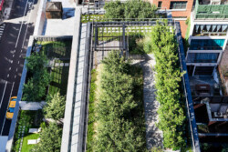 <a href="https://landscapearchitecturebuilt.com/150-charles">150 Charles</a>, <br>New York, NY, USA An image of a landscape architecture project in New York, showing
