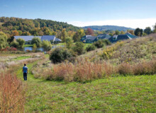 <a href="https://landscapearchitecturebuilt.com/camphill-ghent">Camphill Ghent Elder Care Initiative</a>, <br>Chatham, NY, USA An image of a landscape architecture project in New York state, showing a mown lawn pathway with meadow planting either side