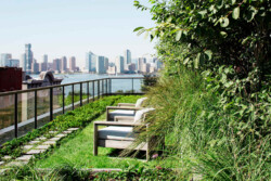 <a href="https://landscapearchitecturebuilt.com/150-charles">150 Charles</a>, <br>New York, NY, USA An image of a landscape architecture project in New York, showing