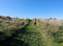 <a href="https://landscapearchitecturebuilt.com/camphill-ghent">Camphill Ghent Elder Care Initiative</a>, <br>Chatham, NY, USA An image of a landscape architecture project in New York state, showing a mown lawn pathway with meadow planting either side