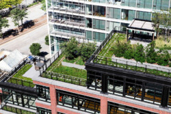 <a href="https://landscapearchitecturebuilt.com/150-charles">150 Charles</a>, <br>New York, NY, USA An image of a landscape architecture project in New York, showing