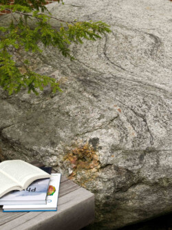 <a href="https://landscapearchitecturebuilt.com/keene-state-college">Keene State College: Natural Science Center Courtyard</a>, <br>Keene, NH, USA An image of a landscape architecture project at Keene State College, showing a close up of a boulder
