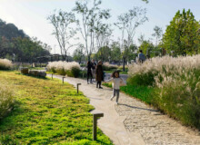 <a href="https://landscapearchitecturebuilt.com/tangshan-ape-man-cave">Tangshan Ape Man Cave</a>, <br>Nanjing, China Landscape architecture project in China showing a stone path with lighting bollards and large grasses along edge.