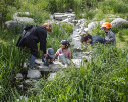 <a href="https://landscapearchitecturebuilt.com/jordal-sports-park ">Jordal Sports Park</a>, <br>Oslo, Norway A photo of landscape architecture project Jordal Sports Park in Oslo, by design firm Henning Larsen