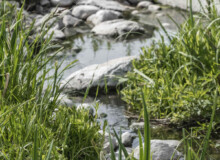 <a href="https://landscapearchitecturebuilt.com/jordal-sports-park ">Jordal Sports Park</a>, <br>Oslo, Norway A photo of landscape architecture project Jordal Sports Park in Oslo, by design firm Henning Larsen