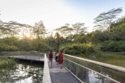 <a href="https://landscapearchitecturebuilt.com/rifle-range-park">Rifle Range Park</a>, <br>Singapore An image of landscape architecture project Rifle Range Park, by design firm Henning Larsen, in Singapore.