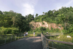 <a href="https://landscapearchitecturebuilt.com/rifle-range-park">Rifle Range Park</a>, <br>Singapore An image of landscape architecture project Rifle Range Park, by design firm Henning Larsen, in Singapore.