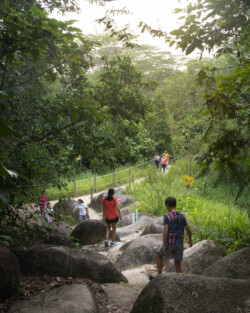 <a href="https://landscapearchitecturebuilt.com/rifle-range-park">Rifle Range Park</a>, <br>Singapore An image of landscape architecture project Rifle Range Park, by design firm Henning Larsen, in Singapore.