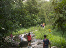 <a href="https://landscapearchitecturebuilt.com/rifle-range-park">Rifle Range Park</a>, <br>Singapore An image of landscape architecture project Rifle Range Park, by design firm Henning Larsen, in Singapore.
