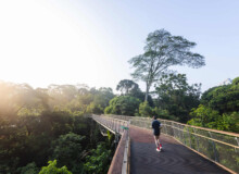 <a href="https://landscapearchitecturebuilt.com/rifle-range-park">Rifle Range Park</a>, <br>Singapore An image of landscape architecture project Rifle Range Park, by design firm Henning Larsen, in Singapore.
