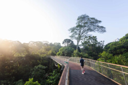 <a href="https://landscapearchitecturebuilt.com/rifle-range-park">Rifle Range Park</a>, <br>Singapore An image of landscape architecture project Rifle Range Park, by design firm Henning Larsen, in Singapore.