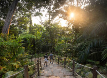 <a href="https://landscapearchitecturebuilt.com/rifle-range-park">Rifle Range Park</a>, <br>Singapore An image of landscape architecture project Rifle Range Park, by design firm Henning Larsen, in Singapore.