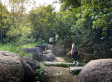 <a href="https://landscapearchitecturebuilt.com/rifle-range-park">Rifle Range Park</a>, <br>Singapore An image of landscape architecture project Rifle Range Park, by design firm Henning Larsen, in Singapore.