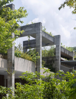 <a href="https://landscapearchitecturebuilt.com/rifle-range-park">Rifle Range Park</a>, <br>Singapore An image of landscape architecture project Rifle Range Park, by design firm Henning Larsen, in Singapore.