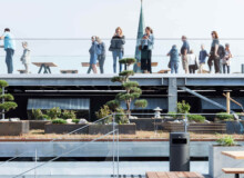 <a href="https://landscapearchitecturebuilt.com/salling-rooftop-roofgarden">Salling Rooftop and Roofgarden</a>, <br>Aalborg, Denmark and Aarhus, Denmark An image of landscape architecture project Salling Rooftop and Roofgarden, by design firm Henning Larsen, in Aalborg, Denmark and Aarhus, Denmark.