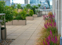 <a href="https://landscapearchitecturebuilt.com/bank-roof-garden">Bank Roof Garden</a>, <br>London, UK An image of landscape architecture project Bank Roof Garden, by design firm Mylandscapes, in London, UK. Showing a roof garden of bespoke planters