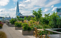 <a href="https://landscapearchitecturebuilt.com/bank-roof-garden">Bank Roof Garden</a>, <br>London, UK An image of landscape architecture project Bank Roof Garden, by design firm Mylandscapes, in London, UK. Showing a roof garden of bespoke planters