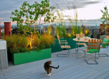 <a href="https://landscapearchitecturebuilt.com/hampstead-roof-garden">Hampstead Roof Garden</a>, <br>London, UK