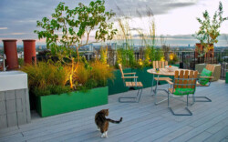 <a href="https://landscapearchitecturebuilt.com/hampstead-roof-garden">Hampstead Roof Garden</a>, <br>London, UK
