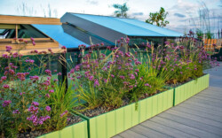 <a href="https://landscapearchitecturebuilt.com/hampstead-roof-garden">Hampstead Roof Garden</a>, <br>London, UK