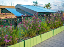 <a href="https://landscapearchitecturebuilt.com/hampstead-roof-garden">Hampstead Roof Garden</a>, <br>London, UK