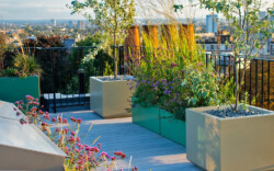 <a href="https://landscapearchitecturebuilt.com/hampstead-roof-garden">Hampstead Roof Garden</a>, <br>London, UK