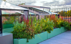 <a href="https://landscapearchitecturebuilt.com/hampstead-roof-garden">Hampstead Roof Garden</a>, <br>London, UK