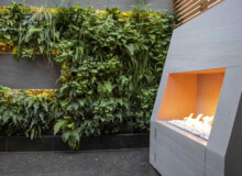<a href="https://landscapearchitecturebuilt.com/belgravia-green-wall">Belgravia Green Wall: A Biodiverse Tapestry</a>, <br>London, UK
