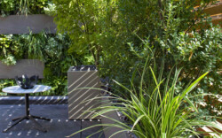 <a href="https://landscapearchitecturebuilt.com/belgravia-green-wall">Belgravia Green Wall: A Biodiverse Tapestry</a>, <br>London, UK