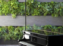 <a href="https://landscapearchitecturebuilt.com/belgravia-green-wall">Belgravia Green Wall: A Biodiverse Tapestry</a>, <br>London, UK