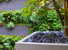 <a href="https://landscapearchitecturebuilt.com/belgravia-green-wall">Belgravia Green Wall: A Biodiverse Tapestry</a>, <br>London, UK