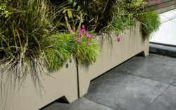 <a href="https://landscapearchitecturebuilt.com/belgravia-green-wall">Belgravia Green Wall: A Biodiverse Tapestry</a>, <br>London, UK