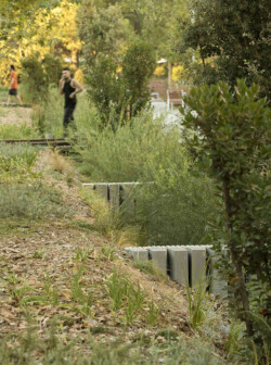 <a href="https://landscapearchitecturebuilt.com/rambla-girada">Rambla Girada</a>, <br>Vilafranca del Penedès, Spain