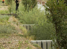 <a href="https://landscapearchitecturebuilt.com/rambla-girada">Rambla Girada</a>, <br>Vilafranca del Penedès, Spain