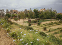 <a href="https://landscapearchitecturebuilt.com/vallmora-park">Vallmora Park</a>, <br>Barcelona, Spain