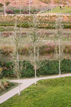 <a href="https://landscapearchitecturebuilt.com/vallmora-park">Vallmora Park</a>, <br>Barcelona, Spain