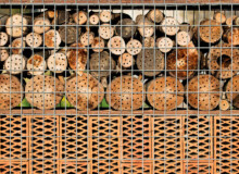 <a href="https://landscapearchitecturebuilt.com/vallmora-park">Vallmora Park</a>, <br>Barcelona, Spain Insect hotel
