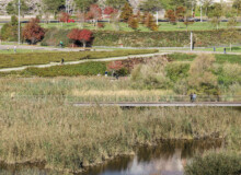 <a href="https://landscapearchitecturebuilt.com/atlantic-park">Atlantic Park</a>, <br>Santander, Spain