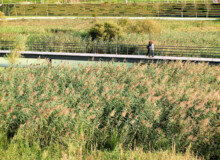 <a href="https://landscapearchitecturebuilt.com/atlantic-park">Atlantic Park</a>, <br>Santander, Spain